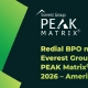 Everest Group PEAK Matrix